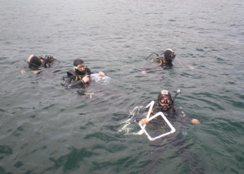 Os alunos realizaram uma sessão de mergulho em Peniche a 5 e 10 metros de profundidade