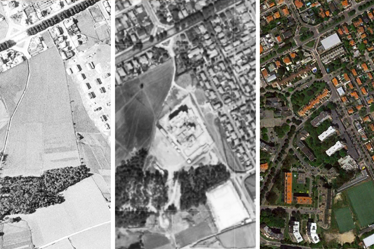 Áreas de vegetação &#8220;diminuíram drasticamente&#8221; no Porto desde 1947