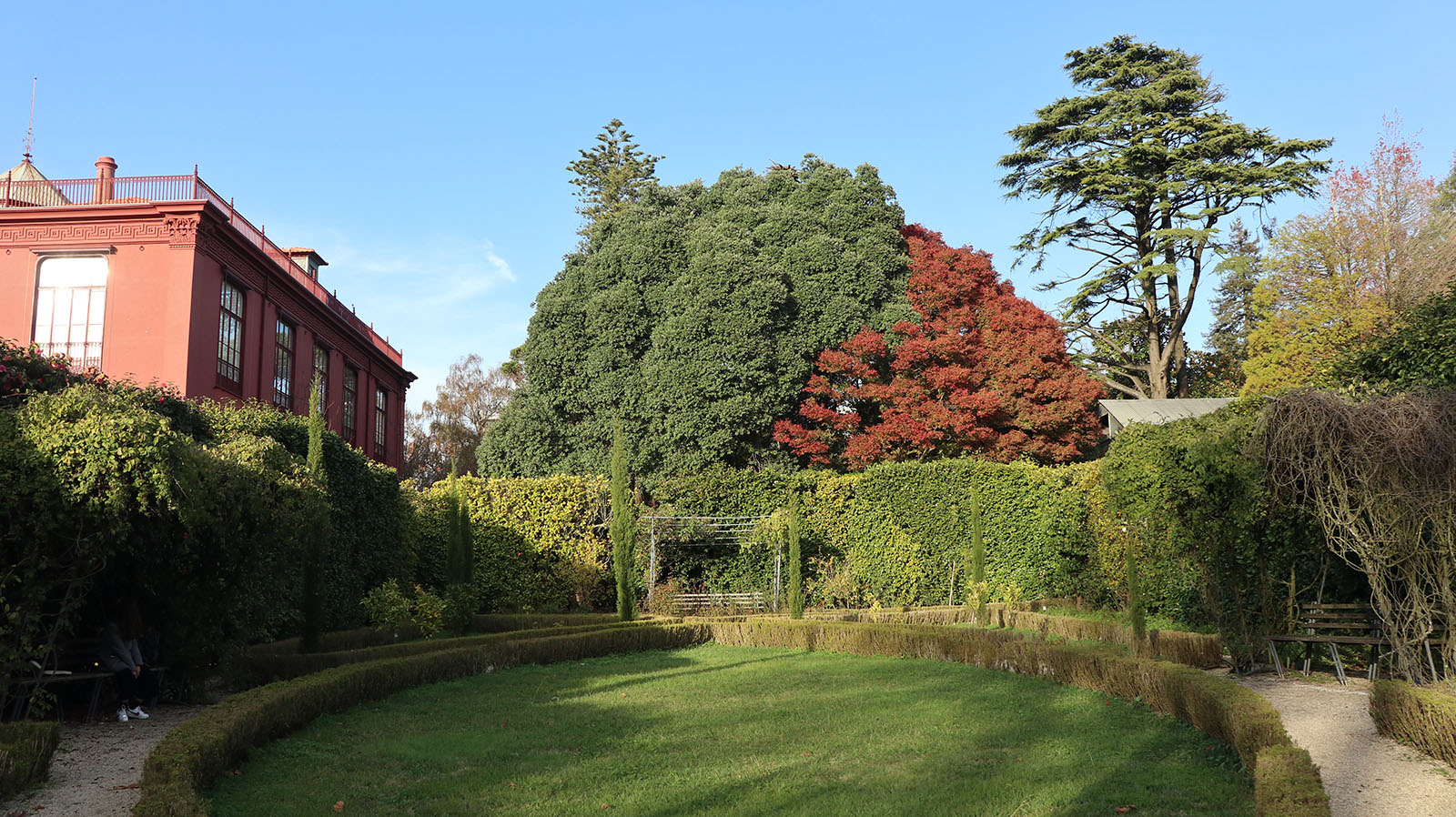 Jardim Botânico do Porto é candidato a "Árvore do Ano"