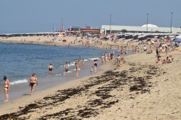 Investigadores do ICBAS detetam poluentes microbianos em praias do Norte