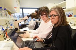 U.Porto desenvolve projeto para promover igualdade de género na Ciência
