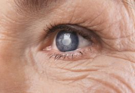 Investigadores do ICBAS desenvolvem novo tratamento para o glaucoma
