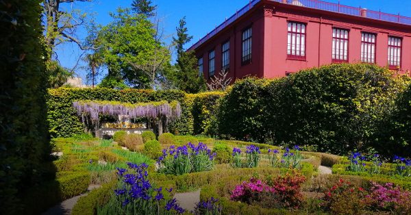 Jardim Botânico do Porto novamente entre os melhores do mundo