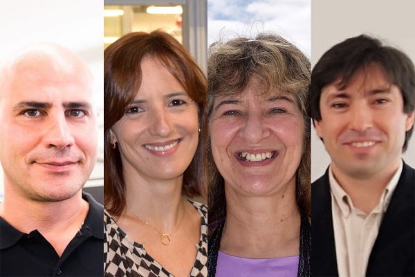 Quatro investigadores da U.Porto entre os mais influentes do mundo