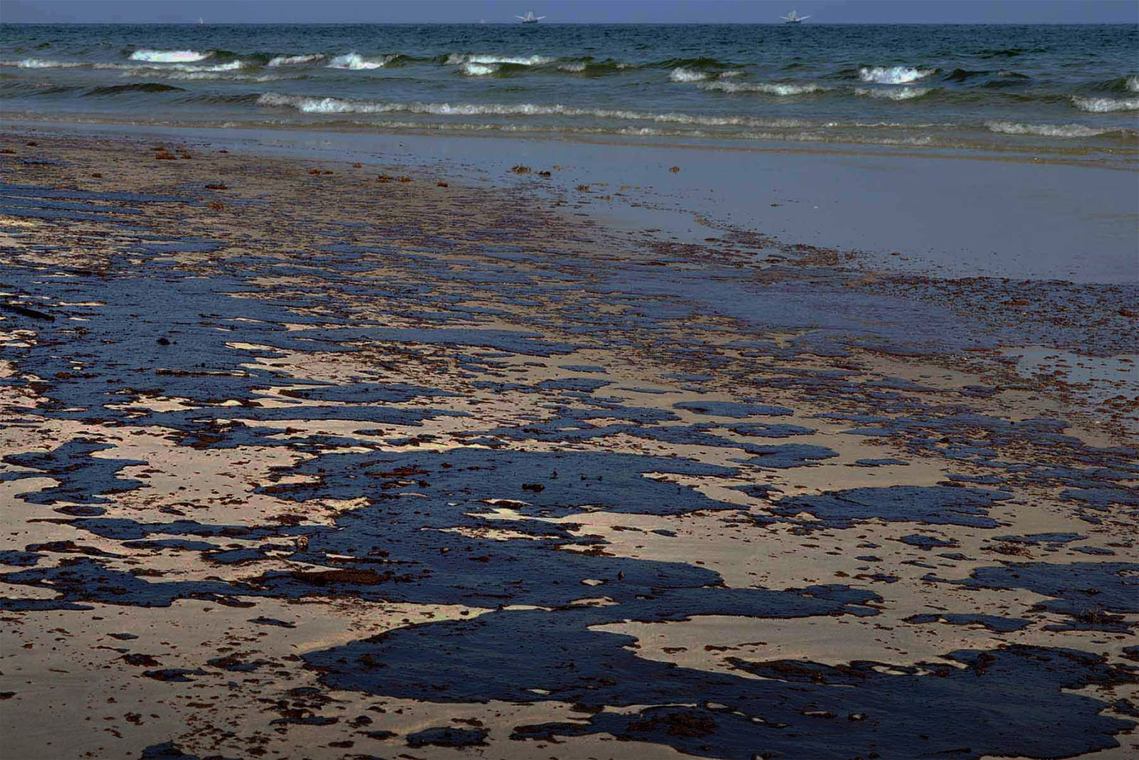 Microrganismos do mar profundo podem ajudar a combater derrames de petróleo